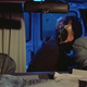 Image for article titled What is the most insanely quotable movie of all time?